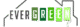 Evergreen Pro Painting